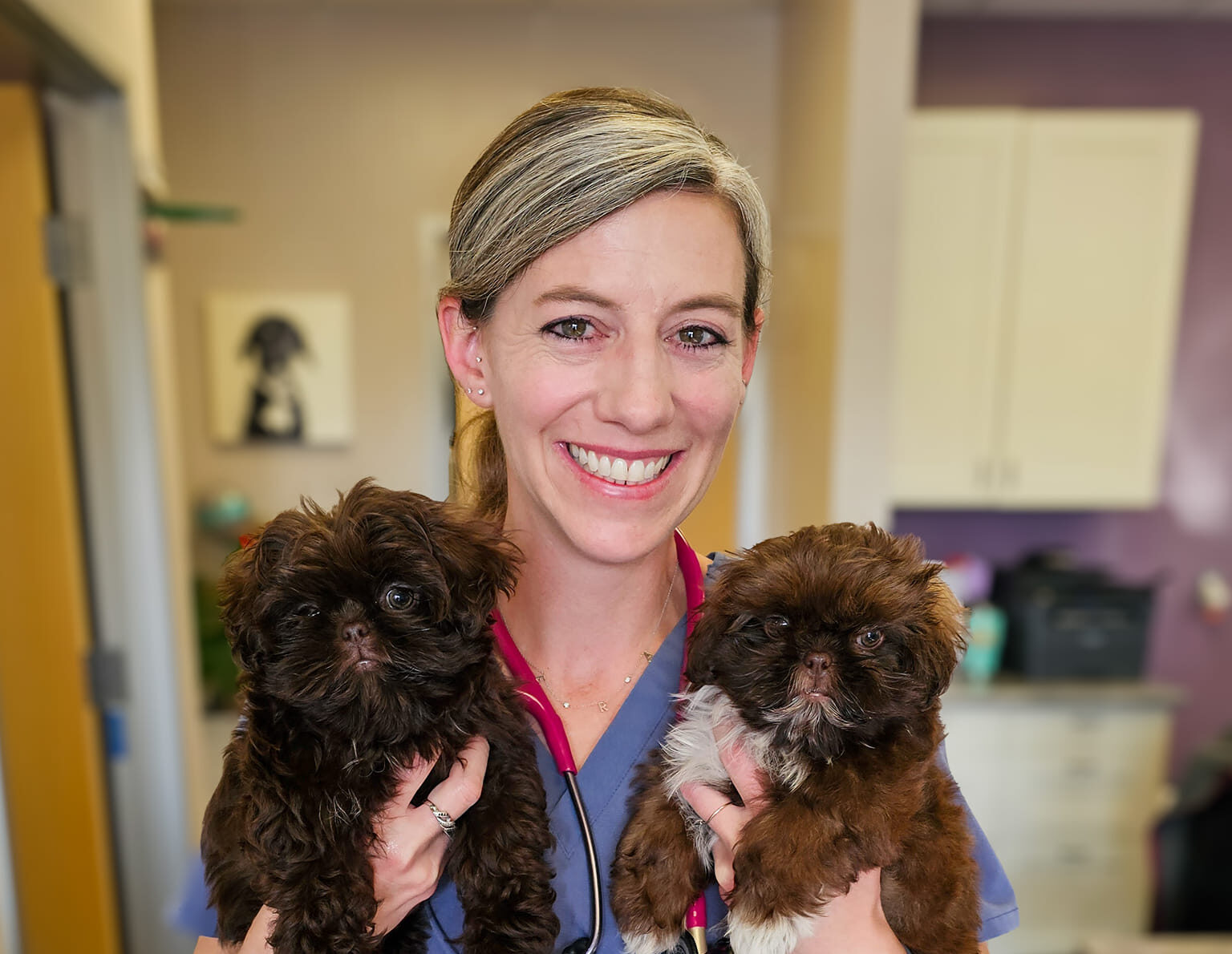 494009712 1188357379963582 6023093079111063469 n e1750177227850