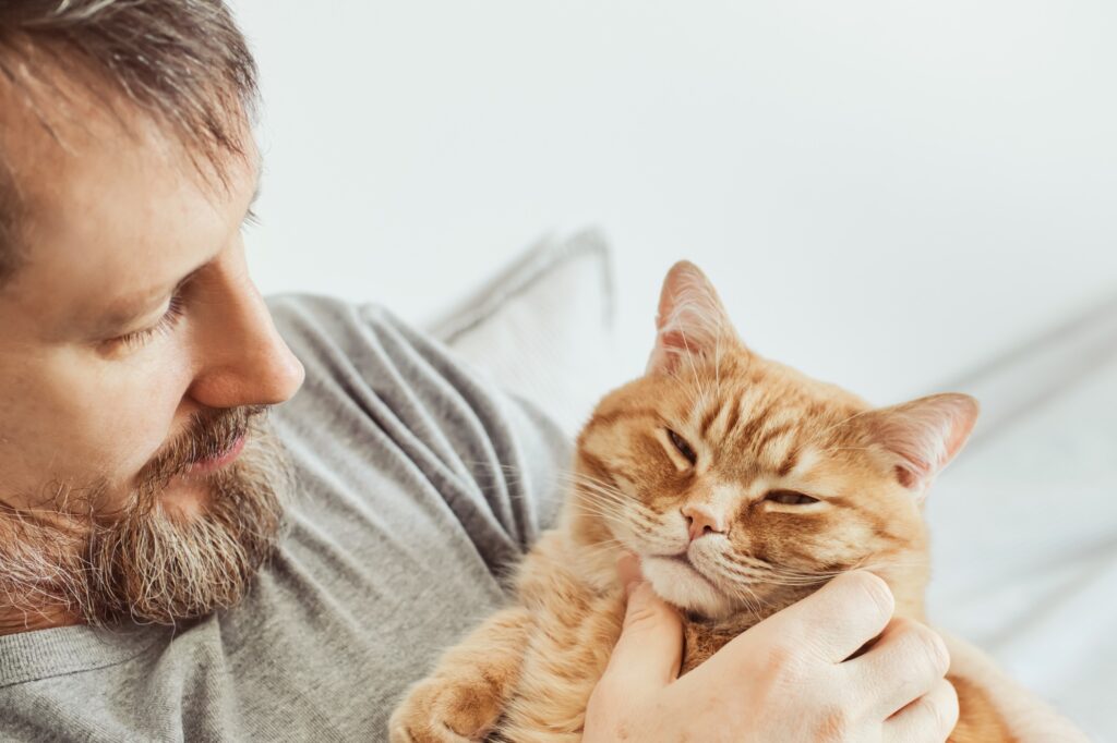 Bearded man hugging and stroking ginger cat close-up. Selective focus on cat's muzzle
