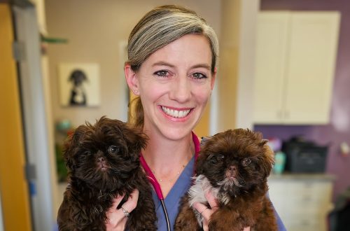 494009712 1188357379963582 6023093079111063469 n e1750177227850